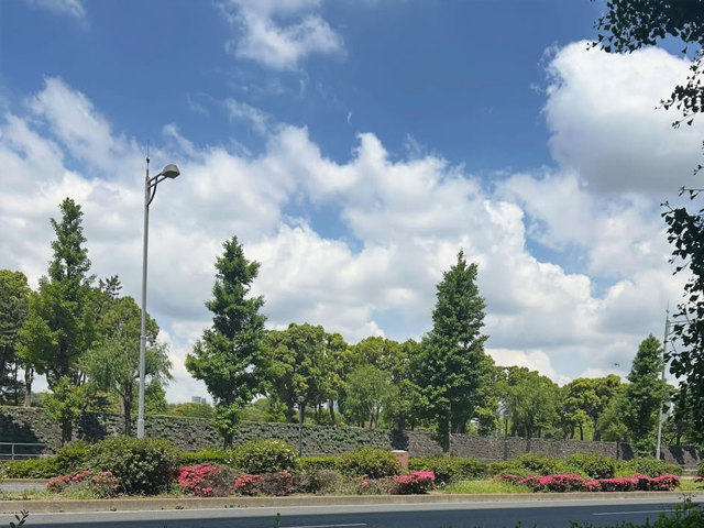 blog
